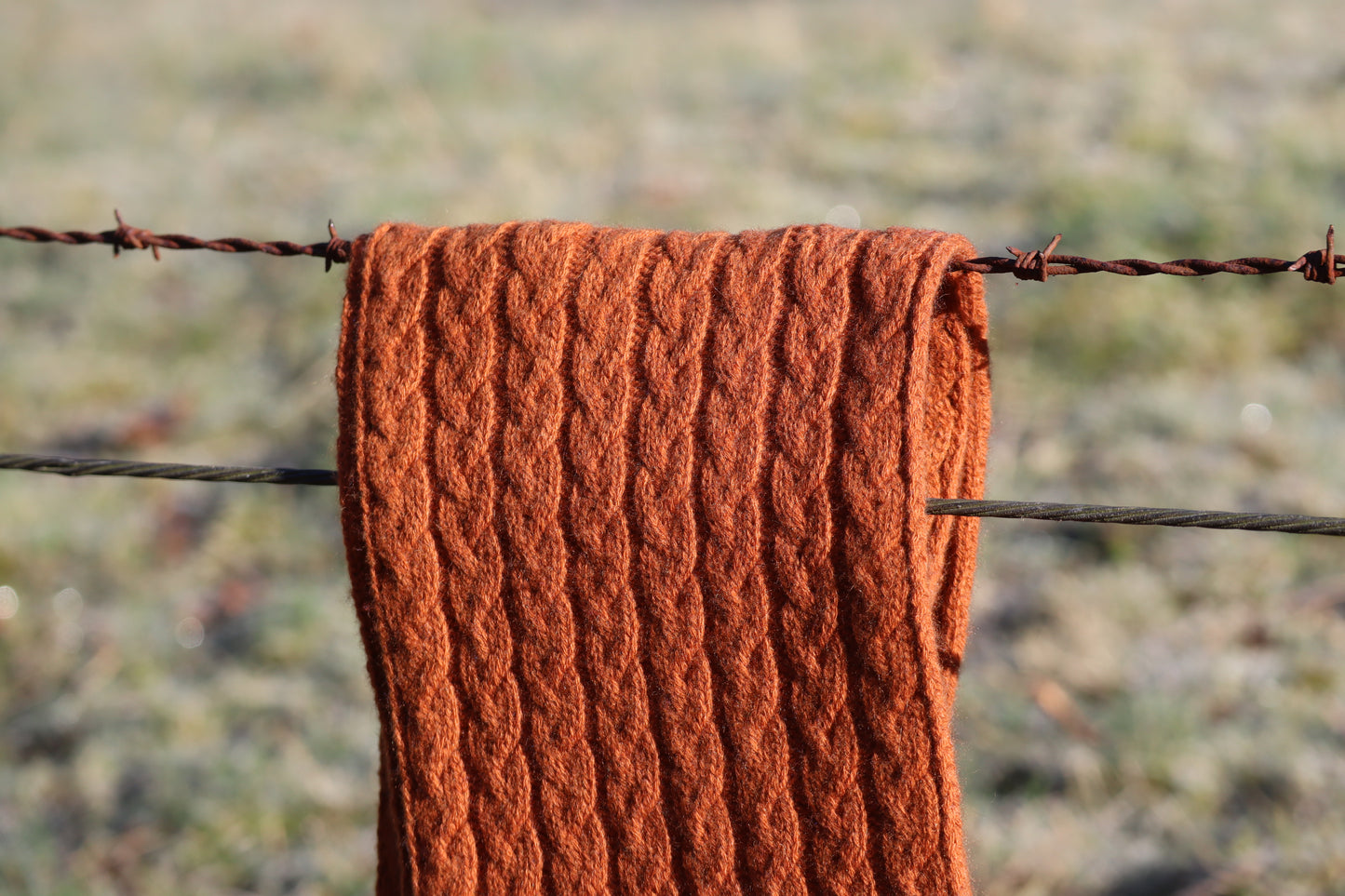 Williestruther - 100% Cashmere Cable Scarf