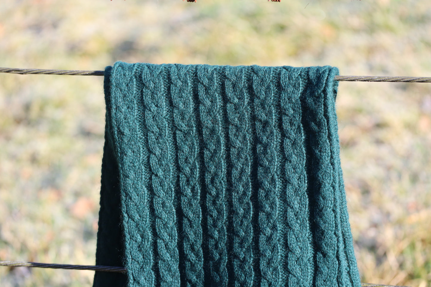 Williestruther - 100% Cashmere Cable Scarf