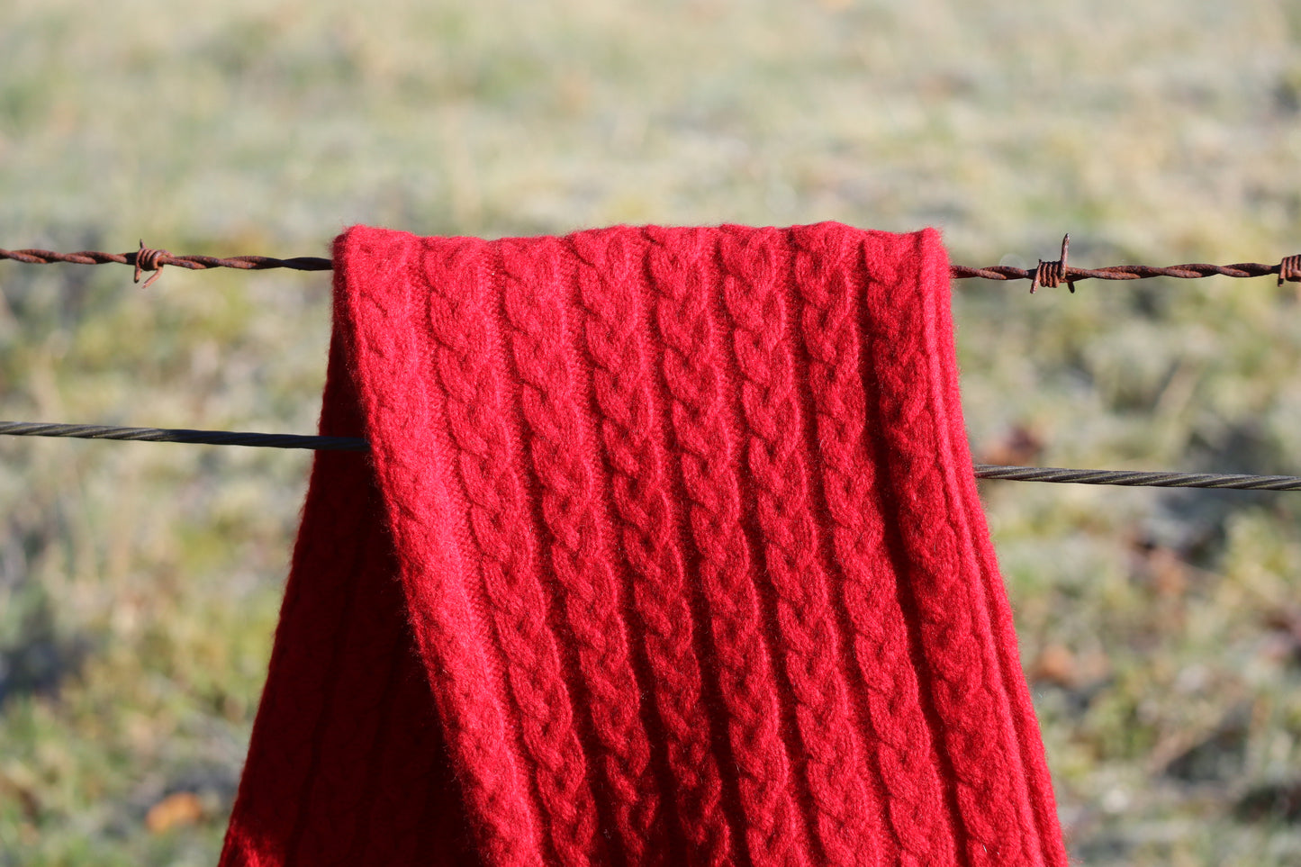 Williestruther - 100% Cashmere Cable Scarf