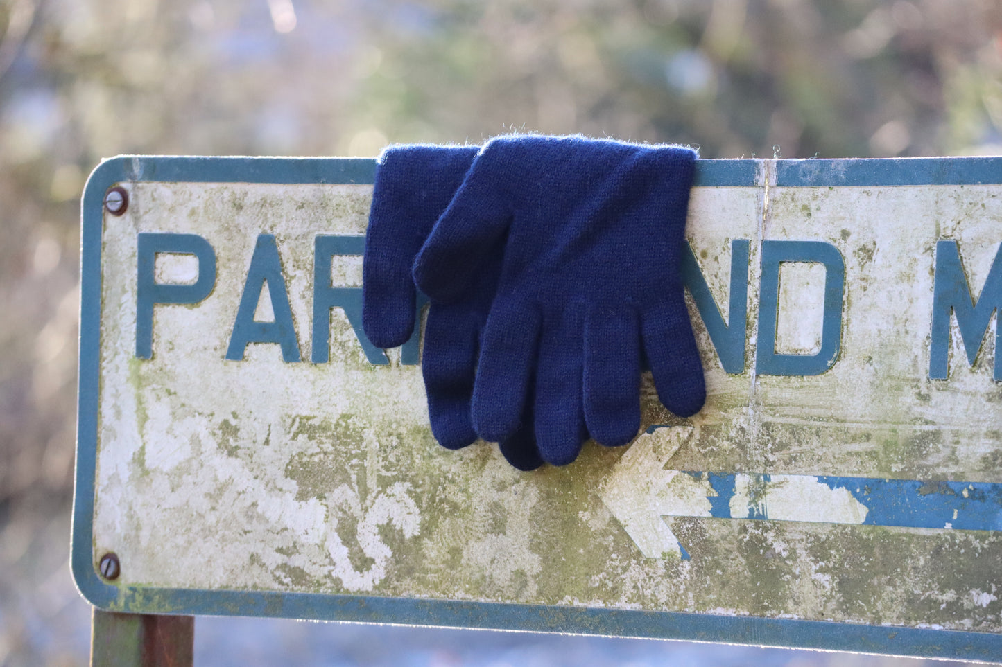 Teviot Breeze - Men’s 100% Cashmere Gloves