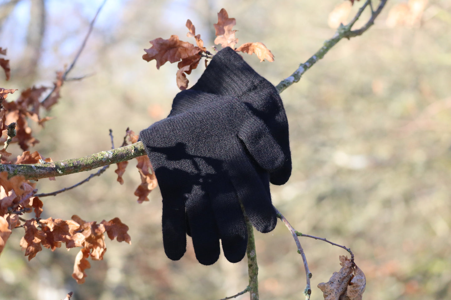 Teviot Breeze - Men’s 100% Cashmere Gloves
