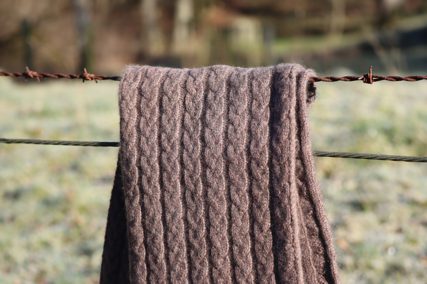 Williestruther - 100% Cashmere Cable Scarf
