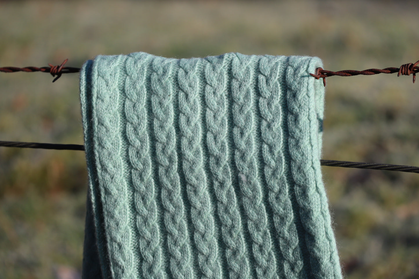 Williestruther - 100% Cashmere Cable Scarf